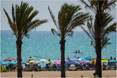 Playa de Canet d'en Berenguer con sombrillas y palmeras en primer término